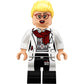 LEGO 70912 - Batman Movies Arkham Asylum