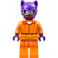 LEGO 70912 - Batman Movies Arkham Asylum