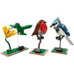 LEGO 21301 - Ideas Birds