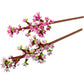 LEGO 40725 - Botanicals Cherry Blossoms