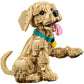 LEGO 11384 - Icons Golden Retriever Puppy