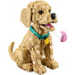 LEGO 11384 - Icons Golden Retriever Puppy