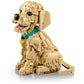LEGO 11384 - Icons Golden Retriever Puppy