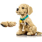 LEGO 11384 - Icons Golden Retriever Puppy
