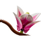 LEGO 11510 - Botanicals Magnolia Branches