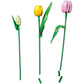 LEGO 11501 - Botanical Tulip Bouquet